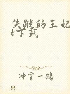 失踪的王妃txt下载