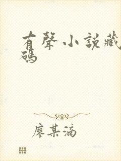 有声小说藏地密码