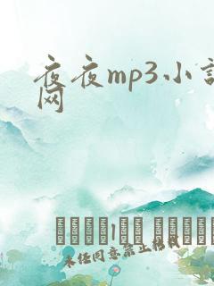 夜夜mp3小说网