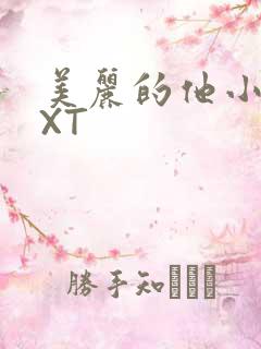 美丽的他小说TXT