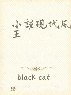 小说现代风流霸主