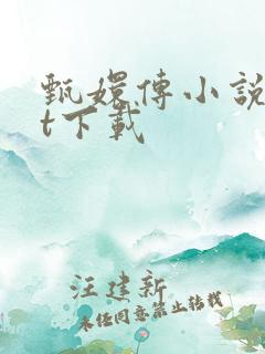 甄嬛传小说txt下载