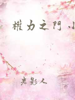 权力之门 小说