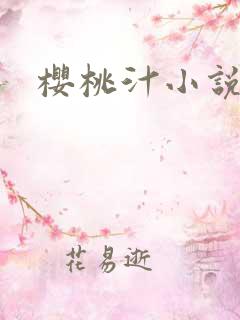 樱桃汁小说