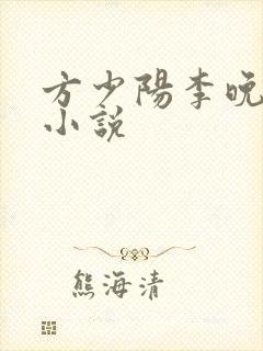 方少阳李晚晴的小说