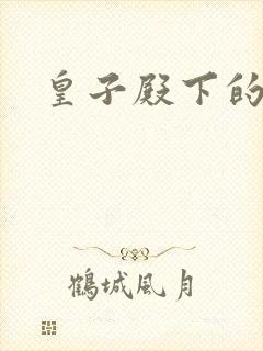 皇子殿下的傲妃