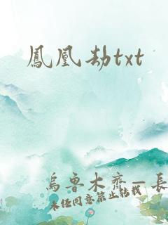 凤凰劫txt