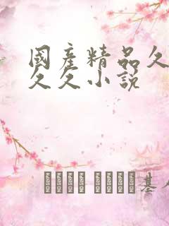 国产精品久久久久久小说