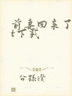 前妻回来了txt下载