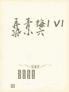 弄青梅1 V1染小六