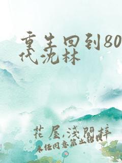 重生回到80年代沈林