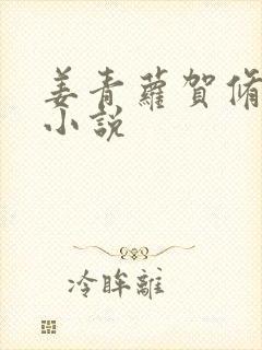 姜青萝贺修竹的小说
