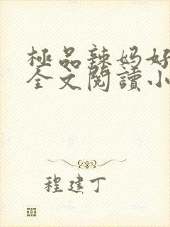 极品辣妈好v5全文阅读小说