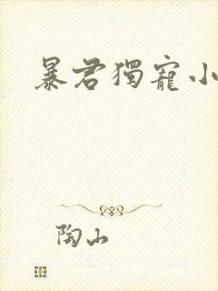 暴君独宠小俏后