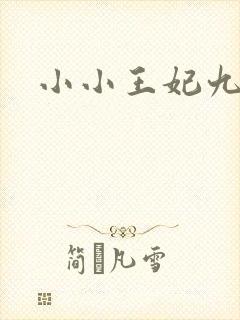小小王妃九岁半