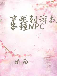 穿越到游戏里和各种NPC