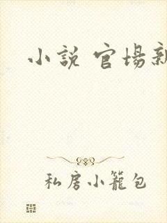 小说 官场新贵