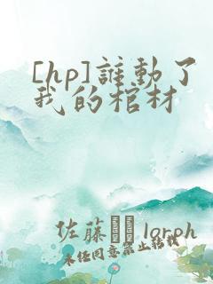 [hp]谁动了我的棺材