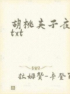 胡桃夹子夜未眠txt