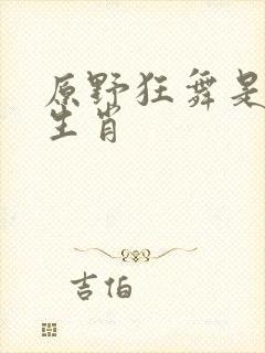 原野狂舞是什么生肖