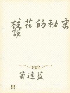 校花的秘密 小说