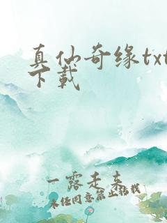 真仙奇缘txt下载