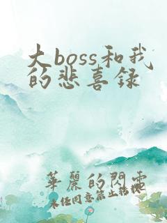 大boss和我的悲喜录