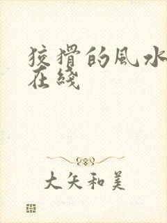 狡猾的风水相师在线