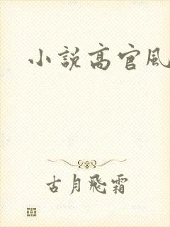 小说高官风流