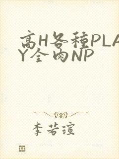 高H各种PLAY全肉NP