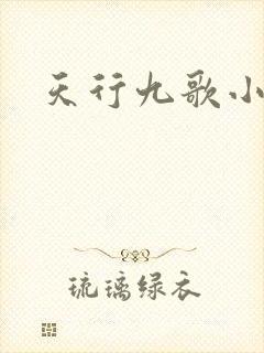 天行九歌小说