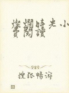 灿烂时光小说免费阅读