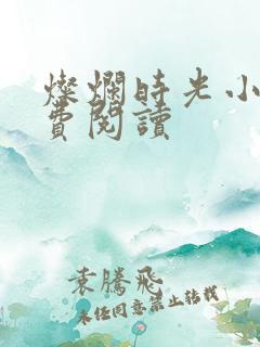 灿烂时光小说免费阅读