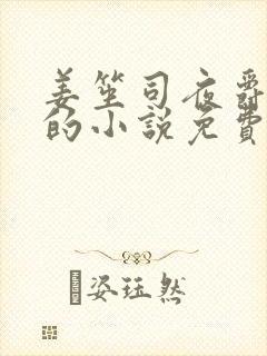 姜笙司夜爵顾念的小说免费阅读