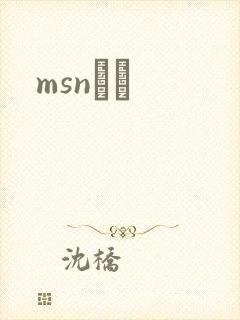 msnС˵