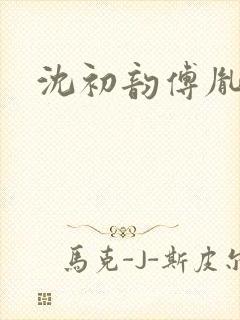 沈初韵傅胤小说