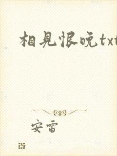 相见恨晚txt
