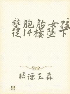 双胞胎女孩双双从14楼坠下