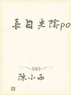 长日光阴po