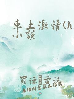 车上激情(h)小说