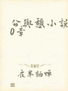 公与憩小说400章