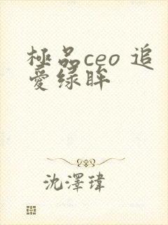 极品ceo 追爱绿眸