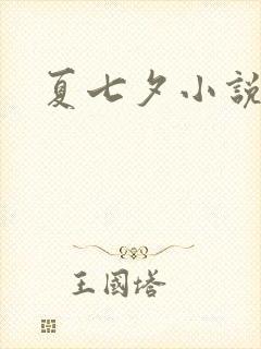 夏七夕小说