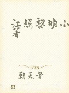 江照黎明小说原著