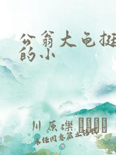 公翁大龟挺进我的小