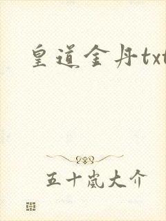 皇道金丹txt