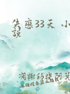 失恋33天 小说