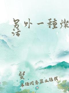 另外一种灿烂生活