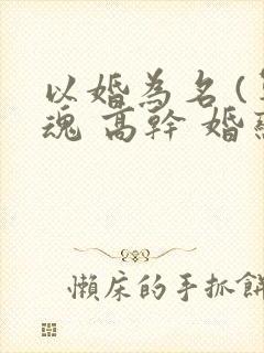 以婚为名 (军魂 高干 婚恋)