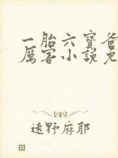 一胎六宝爸比好厉害小说免费阅读